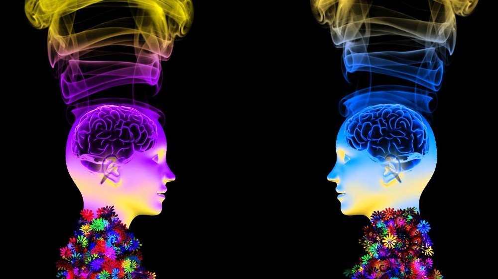 Her Şey Geçer, Koku Kalır