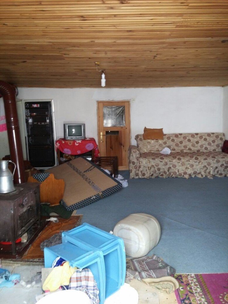 Kış Uykusundan Uyanan Ayılar Bu Kez De Yayla Evlerine Dadandı