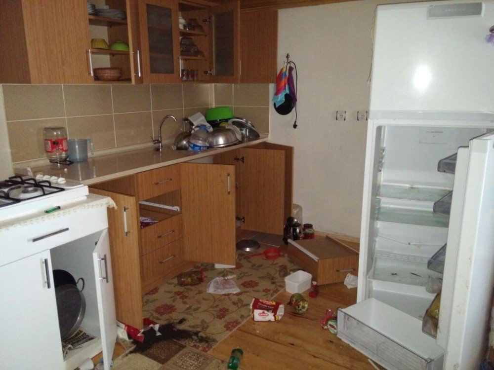 Kış Uykusundan Uyanan Ayılar Bu Kez De Yayla Evlerine Dadandı