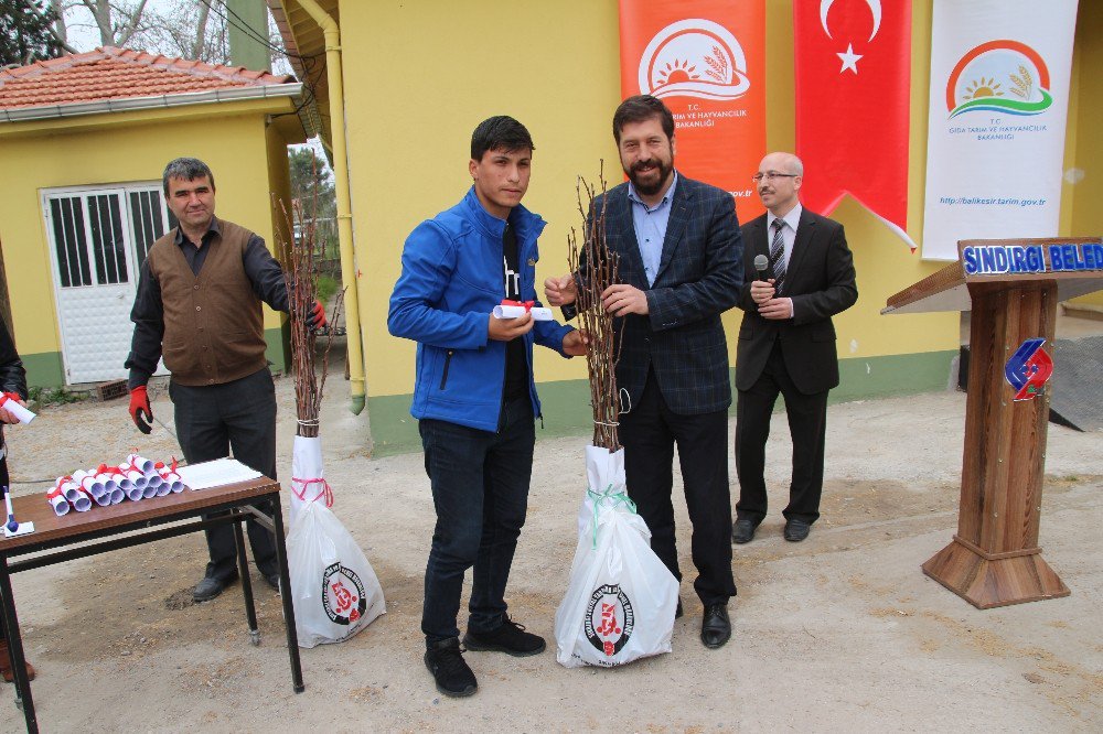 Sındırgı’da Hünnap Fidanı Dağıtıldı