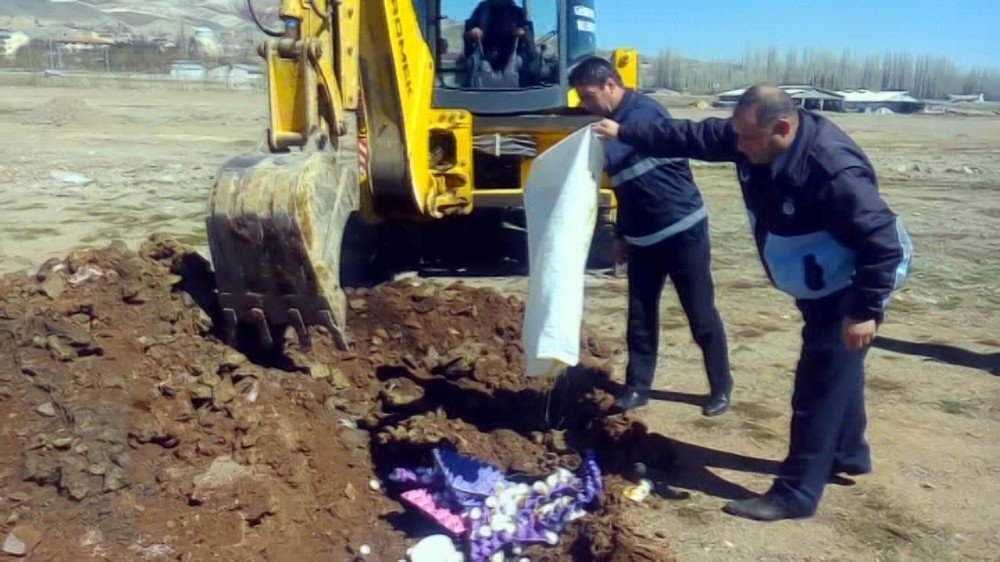 Gemerek’te Tarihi Geçmiş Gıda Ürünleri İmha Edildi