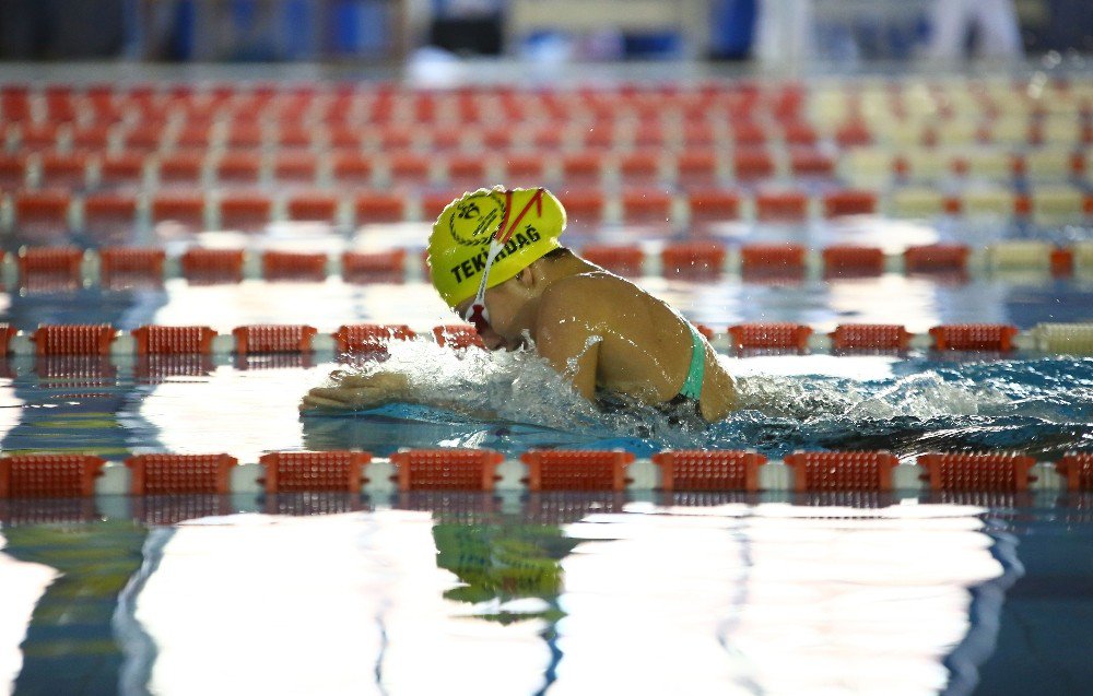 Teyik’ten, 13 Türkiye Şampiyonluğu, 40 Madalya