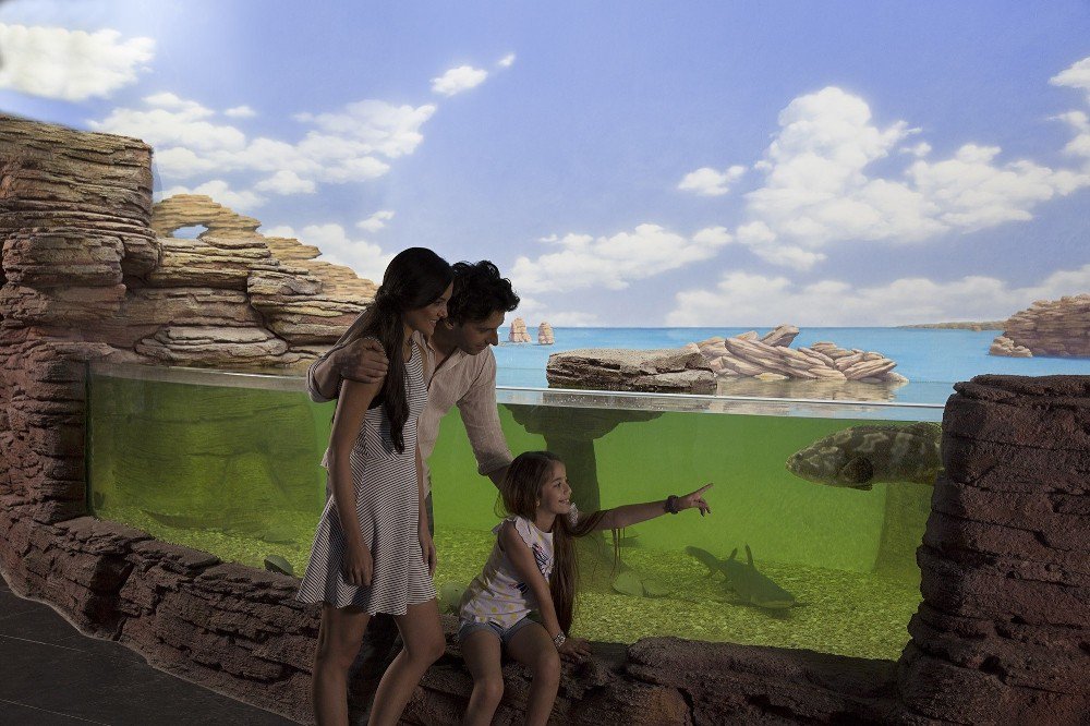 Eğlence Ve Eğitimi Birleştiren İmza