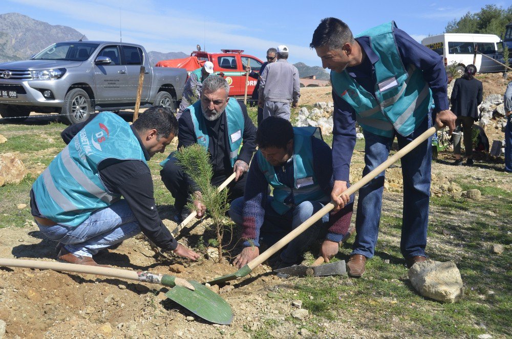 Kozan’da Hükümlüler Bin Fidan Dikti