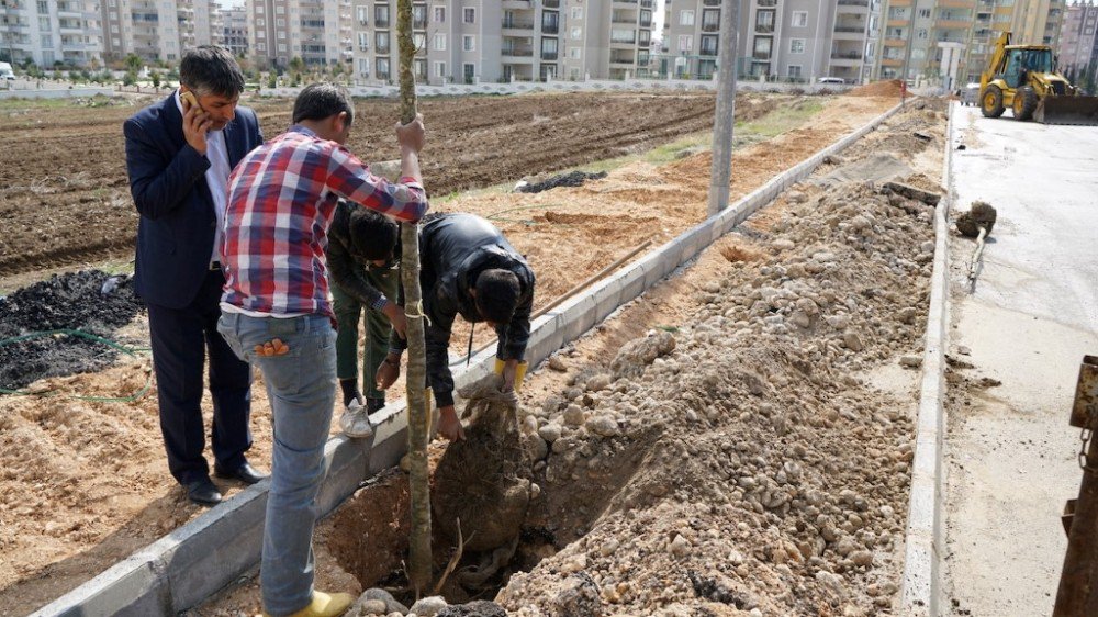 Adıyaman’da Kaldırım Ve Ağaçlandırma Çalışması