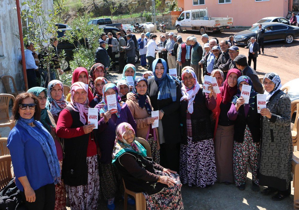 Halk Oylamasına Doğru