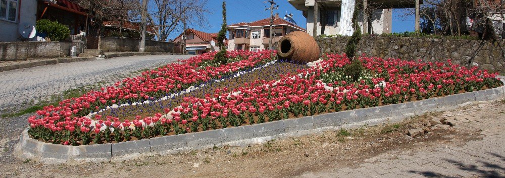 Akçakoca Lale Bahçesine Döndü