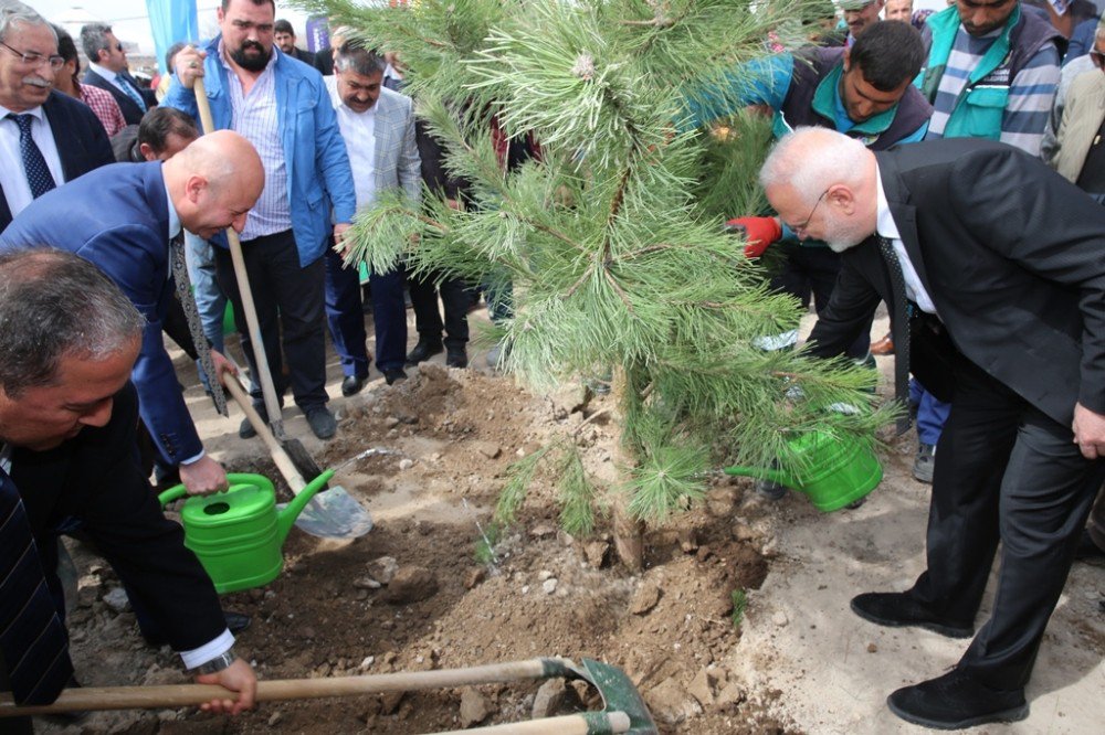 Başkan Çolakbayrakdar, "Boztepe’yi Yeşertiyoruz"