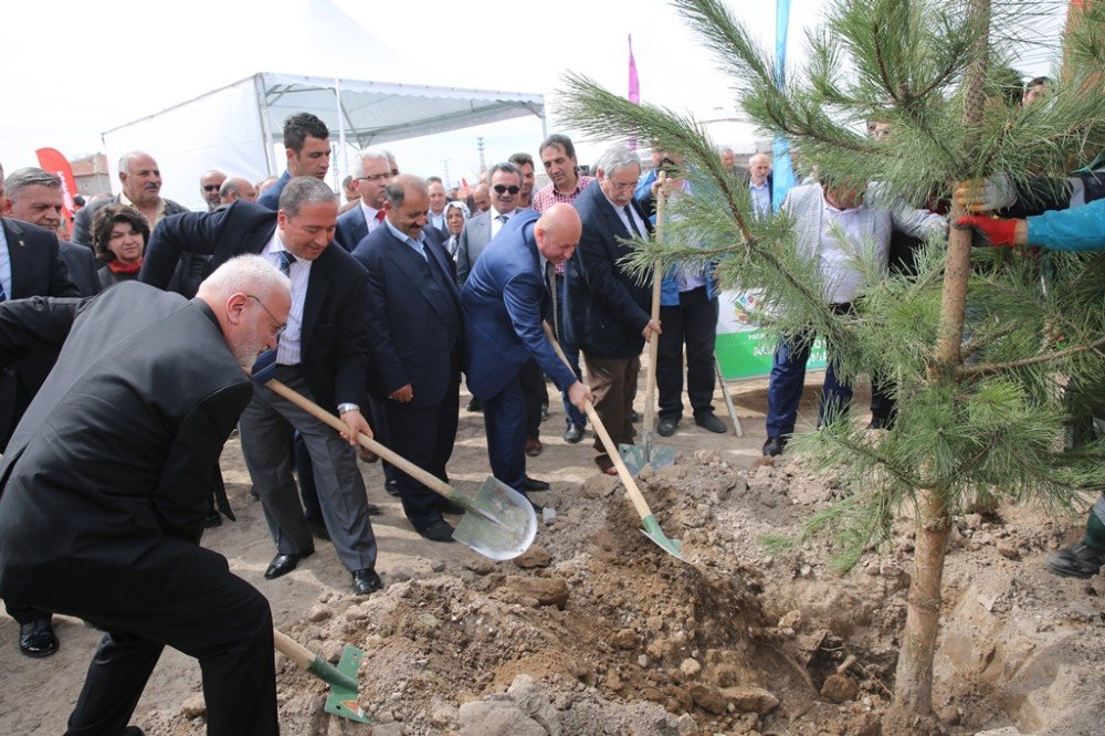 Başkan Çolakbayrakdar, "Boztepe’yi Yeşertiyoruz"