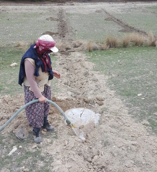 Dağıtılan Fidanların Takibi Yapılıyor