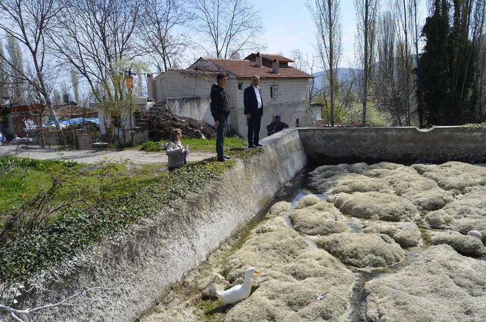 Mezarlık Sulama Havuzunda Genel Temizlik