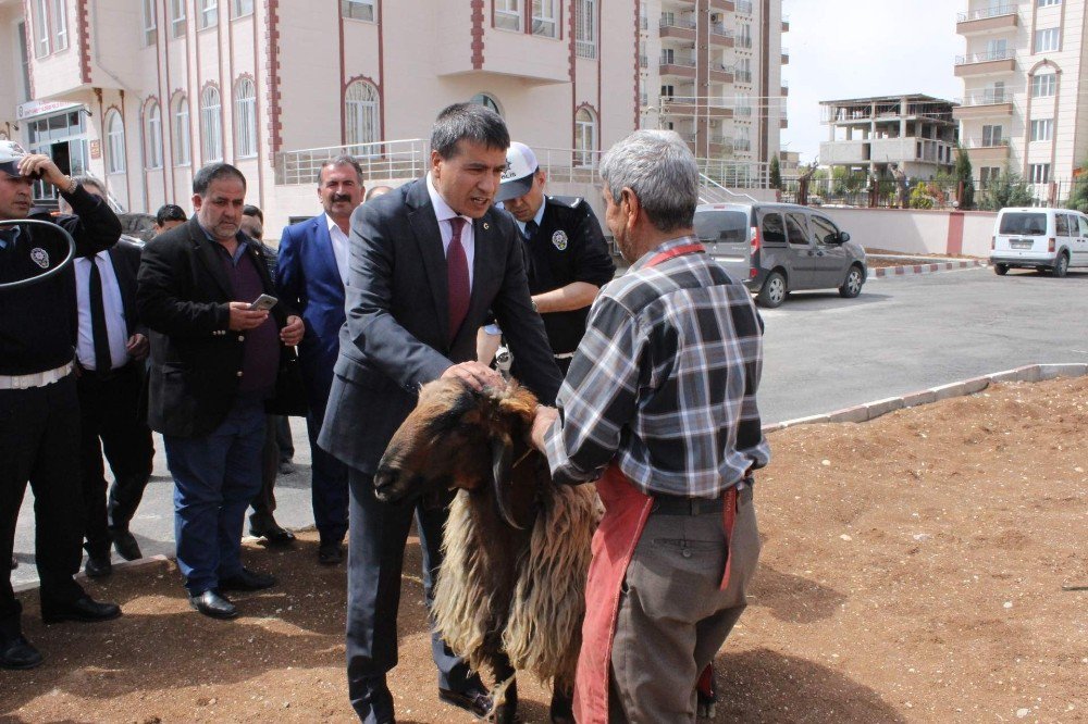 Polis Kazalara Karşı Kurban Kesti