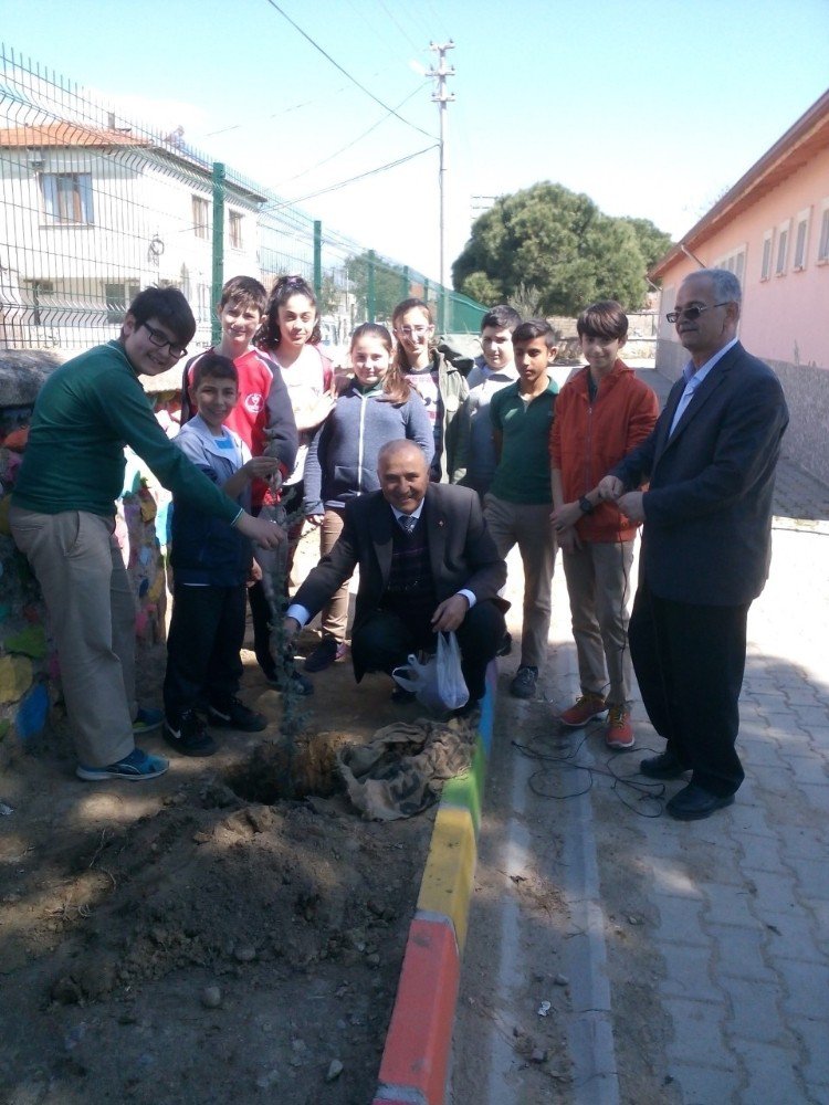 Okullarını Yeşillendirdiler