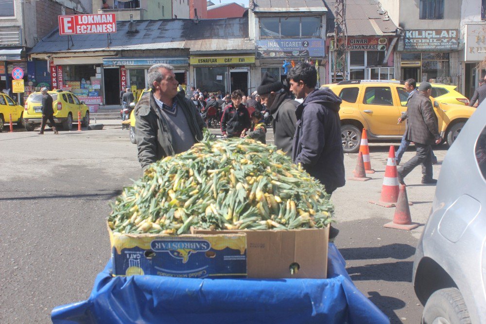 Ağrı’da Çiriş Tezgahlardaki Yerini Aldı