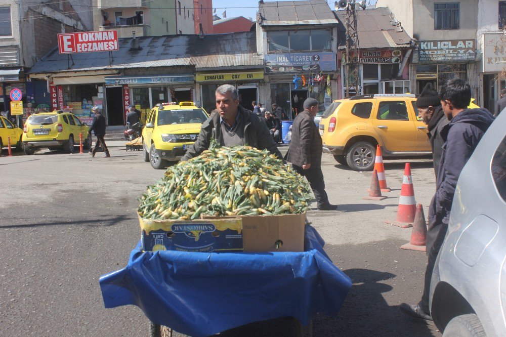 Ağrı’da Çiriş Tezgahlardaki Yerini Aldı