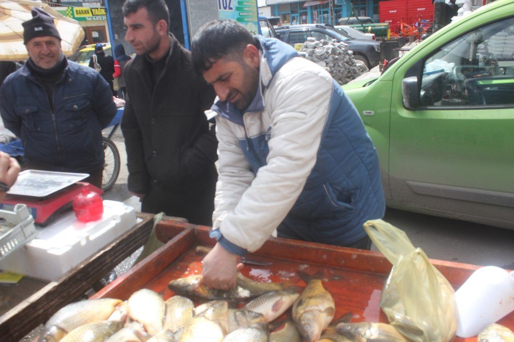 Ağrı’da Vatandaşla Balığa Yoğun İlgi Gösteriyor