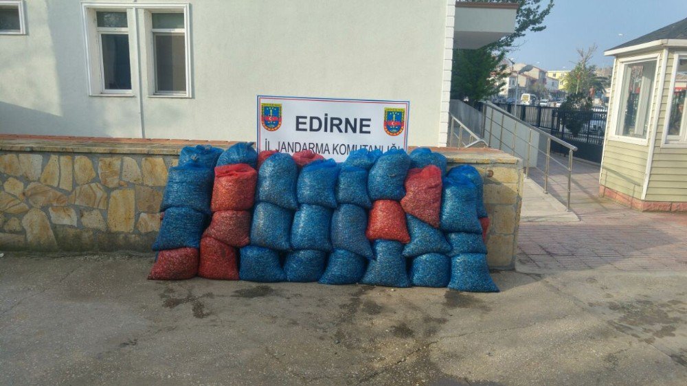 Edirne’de Canlı Deniz Patlıcanı Ve Midye Kaçakçılığı