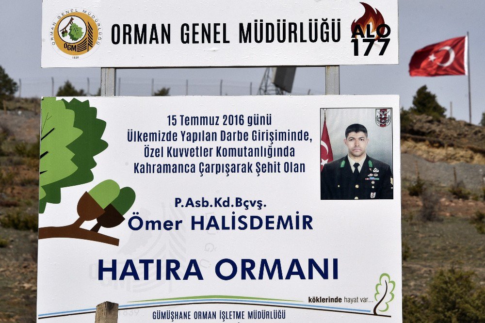 Gümüşhane’de Şehit Ömer Halisdemir Adına Hatıra Ormanı Oluşturuldu