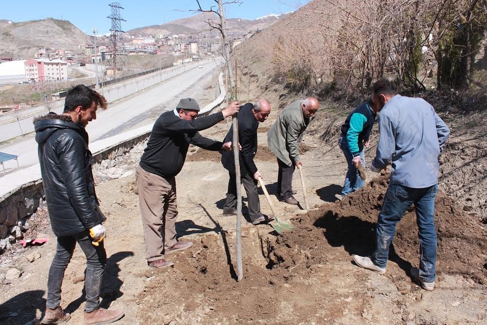 Hakkari’de Ağaçlandırma Çalışması