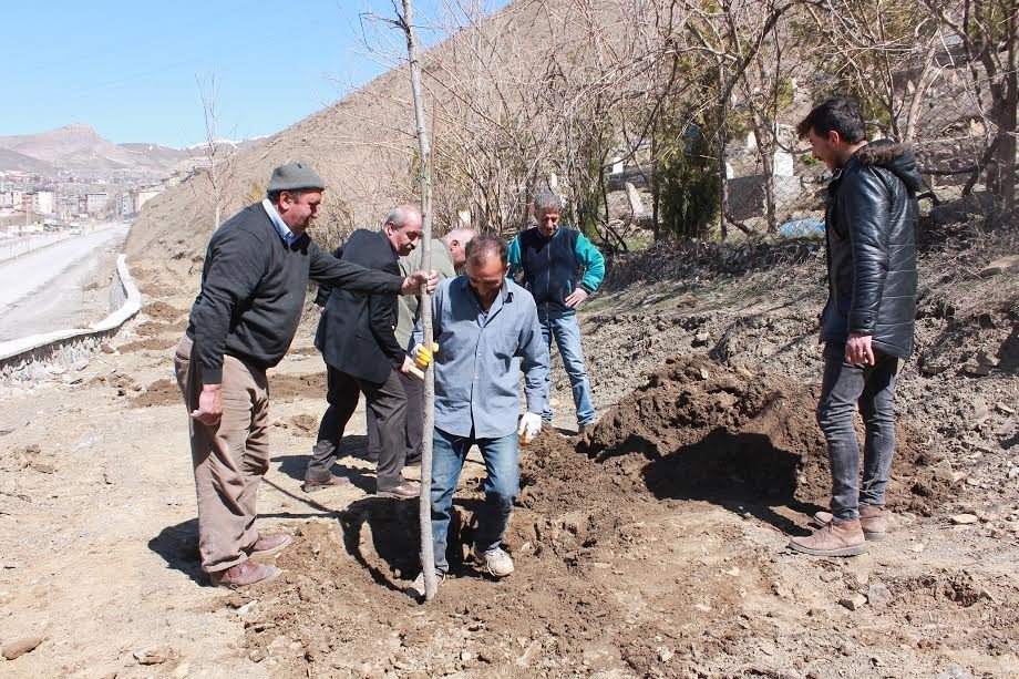 Hakkari’de Ağaçlandırma Çalışması