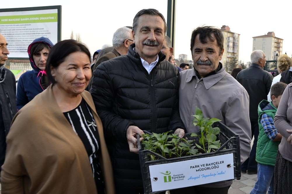 Hobi Bahçelerinde Fide Dağıtımı Yapıldı