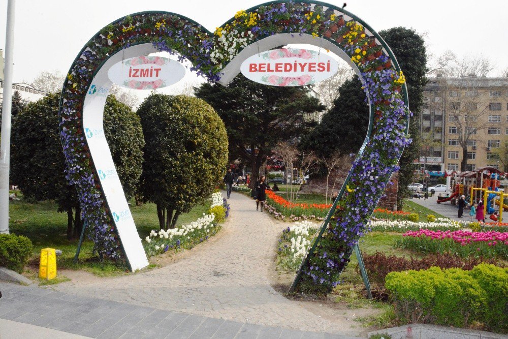 İzmit Belediyesi’nin Diktiği Laleler Açmaya Başladı