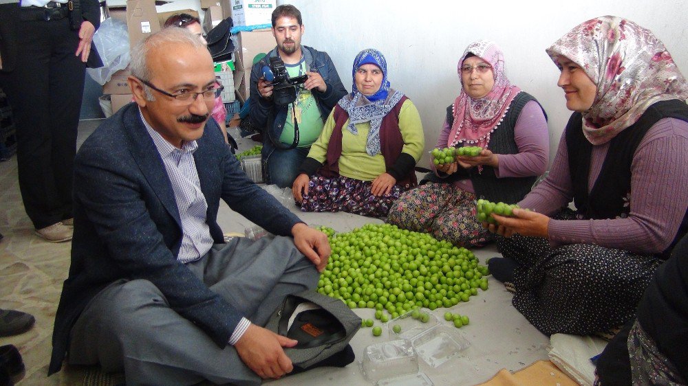 Kalkınma Bakanı Elvan Silifke’de Şalvar Giydi Çiftçilerle Buluştu