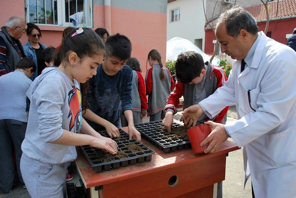 Yerel Tohumlar Minik Ellerde Fide Olacak