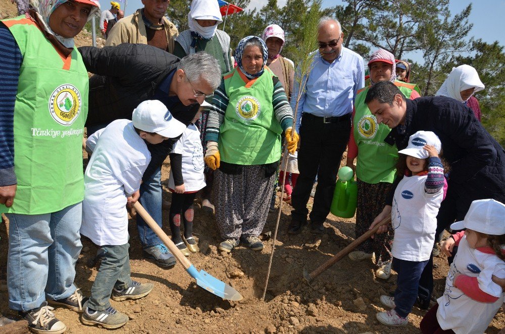 Silifke’deki Maden Sahasına Bin 600 Fidan Dikildi