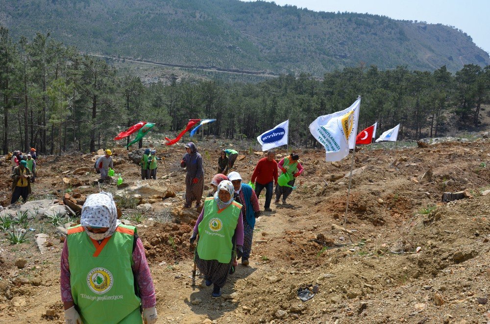 Silifke’deki Maden Sahasına Bin 600 Fidan Dikildi