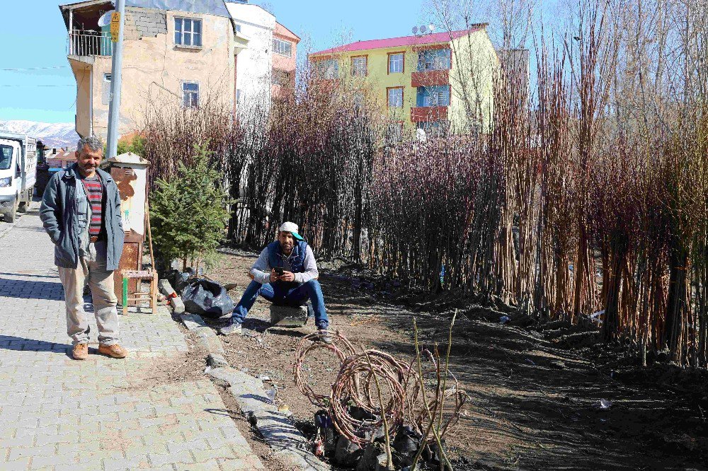 Varto’da Meyve Fidanı Satışı