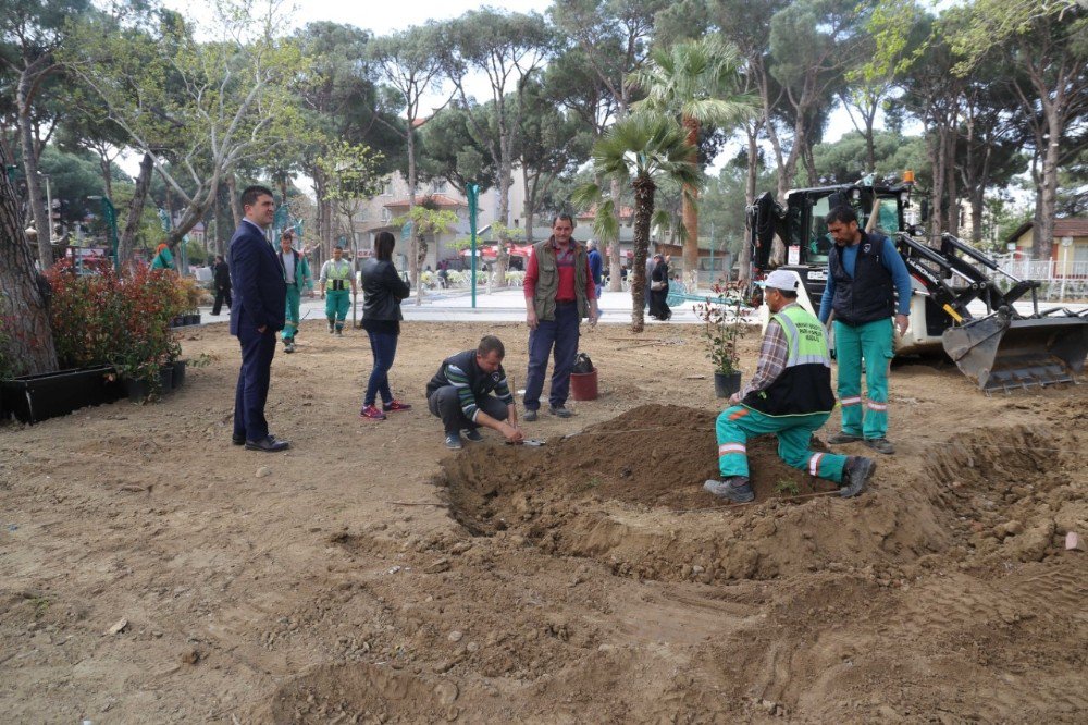 Burhaniye’de Parklar Güzelleşiyor