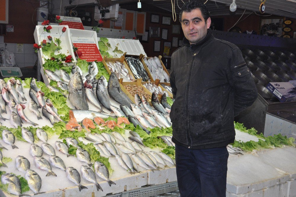 Taze Balık Mı, Dondurulmuş Balık Mı?