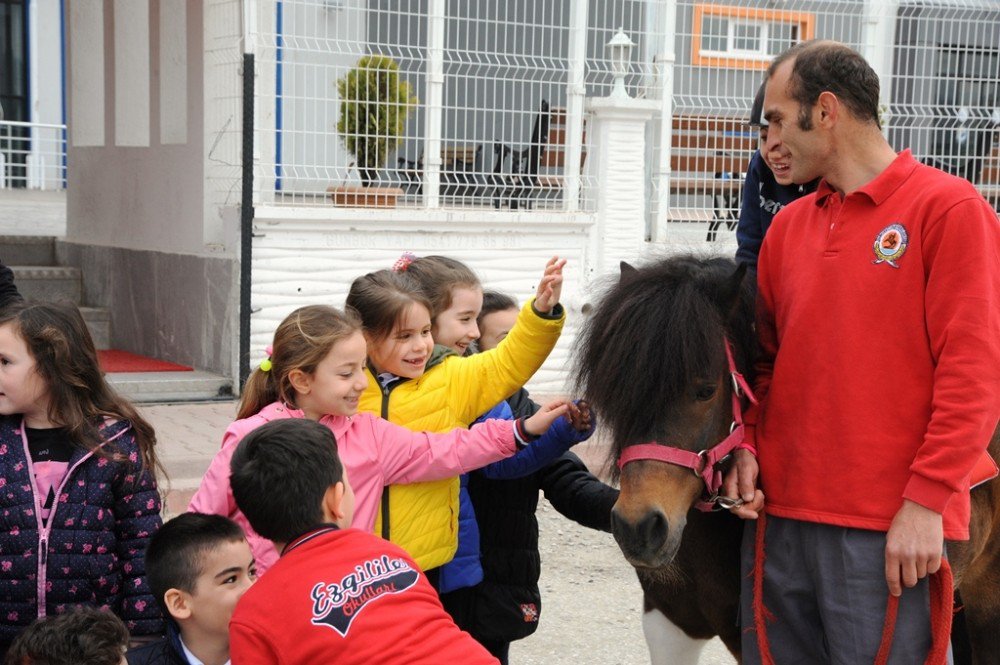 Samsun’da Ata Binmeyen Öğrenci Kalmayacak