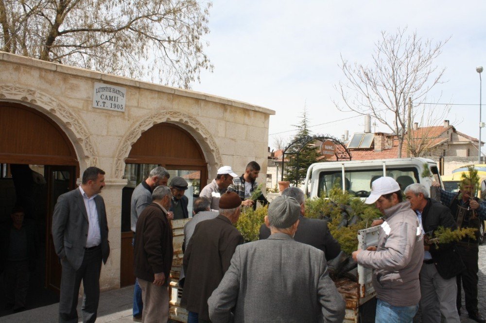 Uçhisar Belediyesi, Ücretsiz Fidan Dağıtımı Yaptı