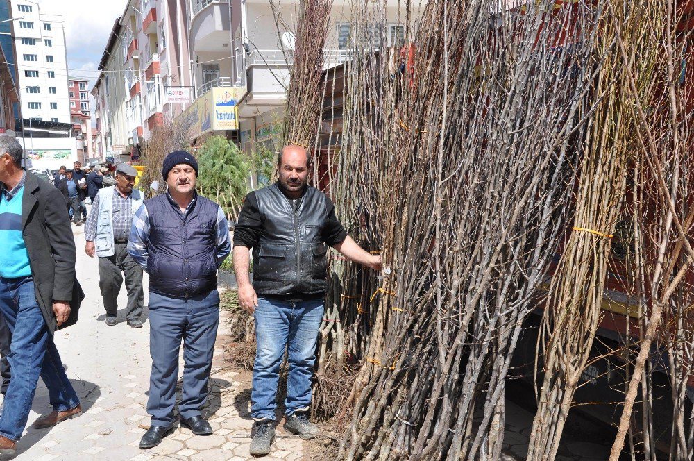 Sorgun’da Fidan Satışları Başladı