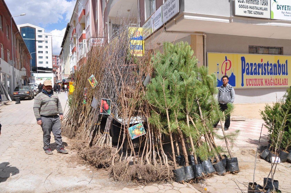 Sorgun’da Fidan Satışları Başladı