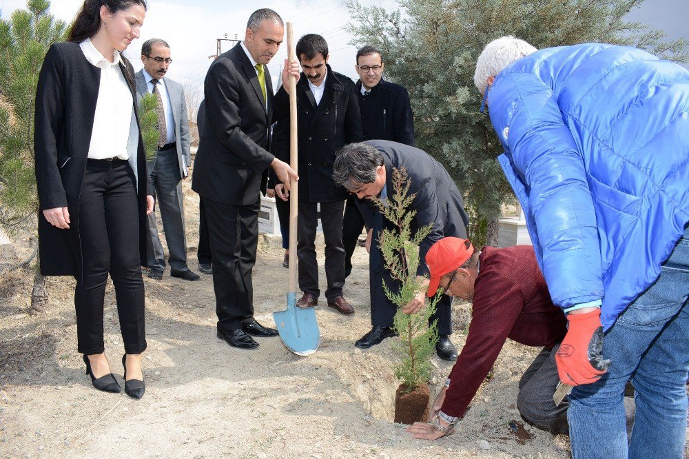 Darende Mezarlığı Yeşillendiriliyor