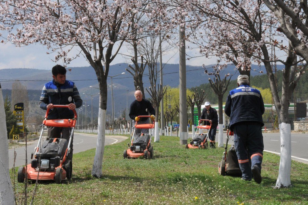 Bozüyük’te Baharın Müjdecisi Ağaçlar Çiçek Açtı, Parklar Renklendi