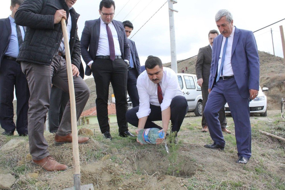 15 Temmuz Şehitleri Hatıra Ormanına Gidan Dikildi