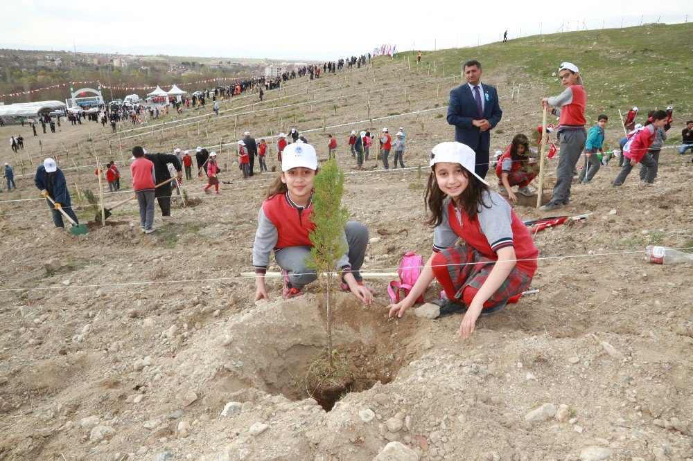 Battalgazi Belediyesi 100 Bin Fidan Dikecek