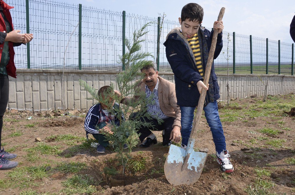 Engelli Öğrenciler Köy Okulunda Fidan Dikti