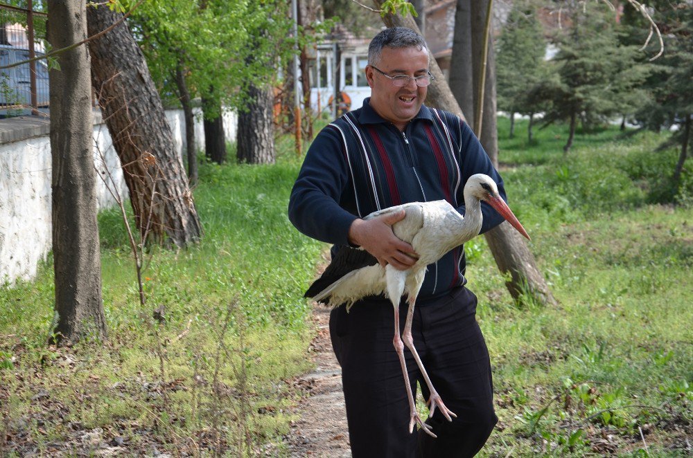 Yaralı Leyleğe Karayolları İşçileri Sahip Çıktı