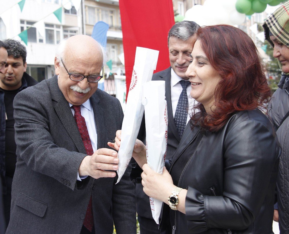 Bakan Avcı, Fidan Ve Satranç Takımı Dağıttı