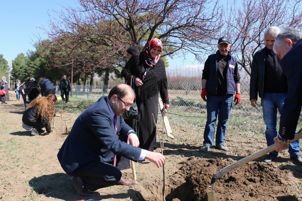 Kadın Çiftçilerle Kiraz Bahçesi Demonstrasyonu Yapıldı