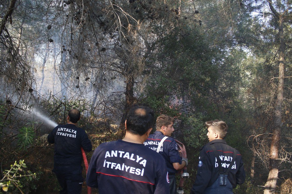 Antalya’da Yangında 40 Dönüm Ormanlık Alan Zarar Gördü