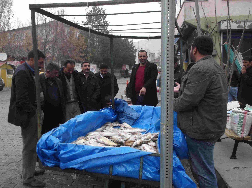 Varto’da Vatandaşlar Balığa Yöneldi