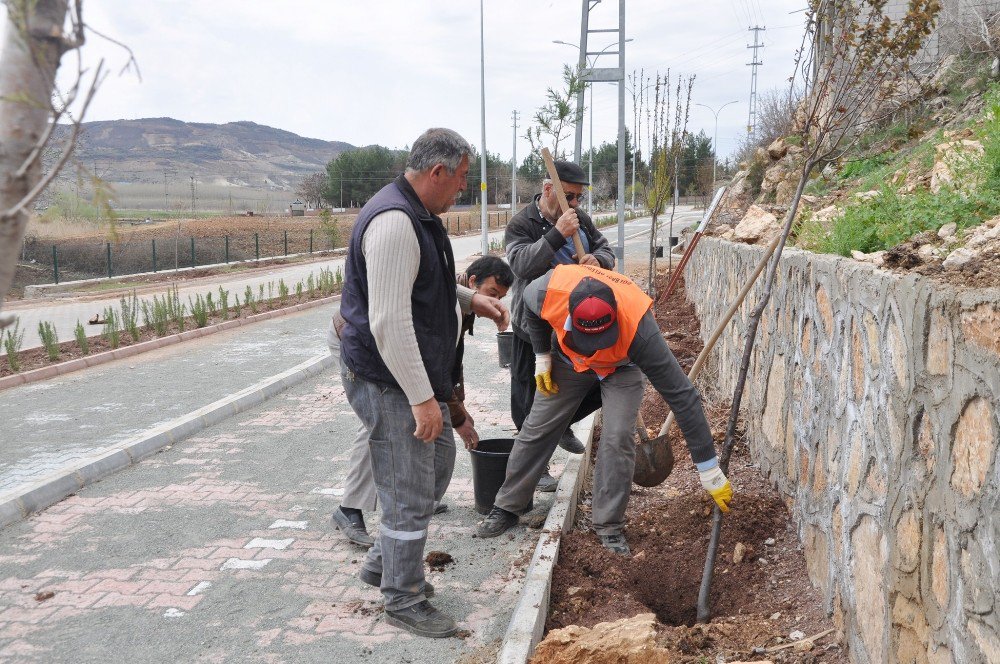 Gölbaşı’na Bahar Süsü