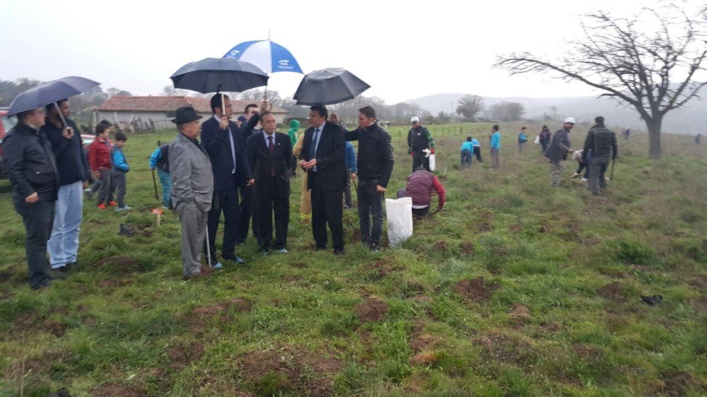 Balyalı Öğrenciler Şahitler Adına Ağaç Dikti