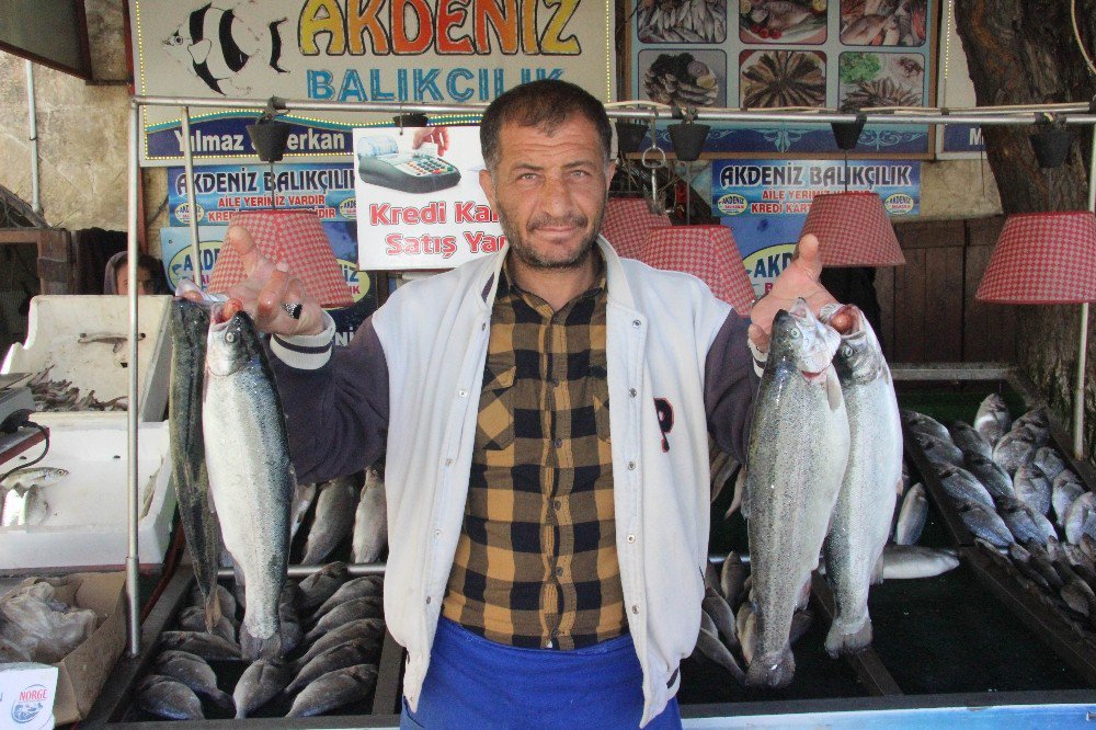 Kilis’te Balık Satışlarında Son Haftaya Girildi